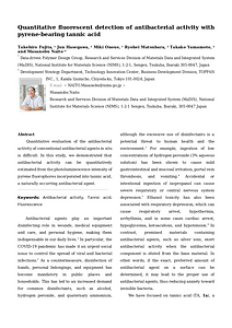 bcsj_PyreneTA[73].docx