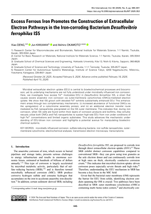 Excess Ferrous Iron Promotes the Construction of Extracellular.pdf