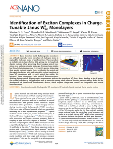 acsnano.2c10697.pdf