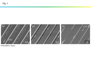 Figures.pdf