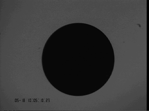 0518ZrNi7ST#1.png