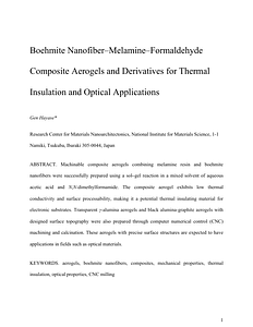 AANM2023_postprint.pdf