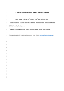 perspective-20241226.pdf