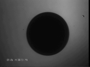 0526NiTi2ST#1.png