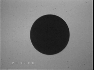 0517La1ST#1.png
