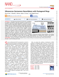 acs.nanolett.6c02715.pdf
