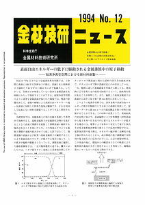 NRIMNews1994-12.pdf