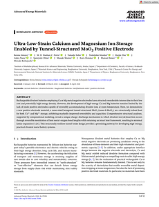 91_Iimura_AENM_MoO3 for Mg and Ca storage.pdf