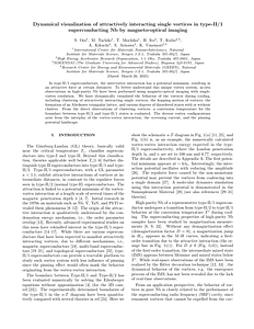 SingleVortexNb.pdf