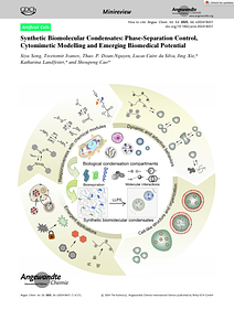 Angew Chem Int Ed - 2024 - Song - Synthetic Biomolecular Condensates  Phase‐Separation Control  Cytomimetic Modelling and.pdf
