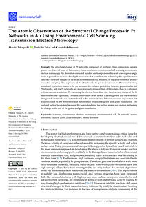 nanomaterials-13-02170.pdf
