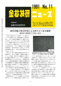 NRIMNews1991-11.pdf