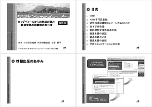 Tanifuji-SparcToyamaUniv2012Feb-summary.pdf