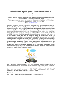 ISPSA_Abstract_ishii24.pdf