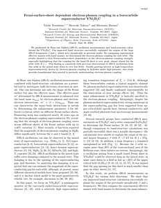 YNi2B2C_2025_v4p1.pdf