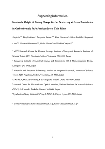 20250402_Supporting Information for publication.pdf