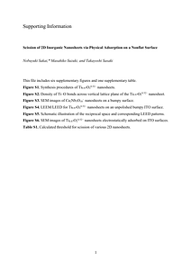 Supporting Information.pdf