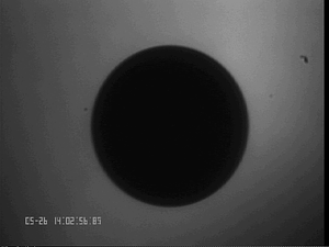 0526NiTi1#1.png