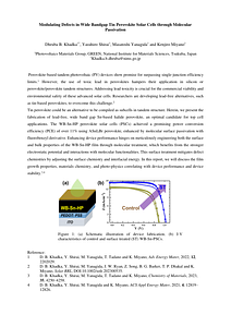 PVSEC-35_Abstract.pdf