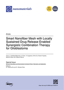 23_Nanomaterials.pdf