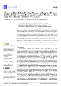 nanomaterials-14-01486.pdf