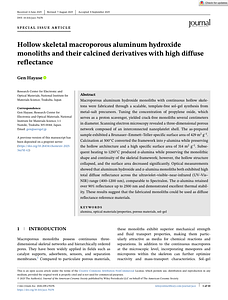 Journal of the American Ceramic Society - 2025 - Hayase - Hollow skeletal macroporous aluminum hydroxide monoliths and.pdf