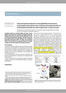 Kaneko_DRMFTS_GreenChem_Manuscript_2_20251015.docx