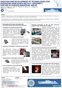 REPM2025_P2-24_Sanin.pdf