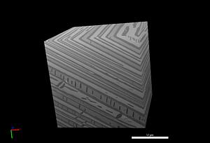 190227CR5-97-996-Adjusted-900x900x900Cropped_3DAnimation-Sectioning.avi