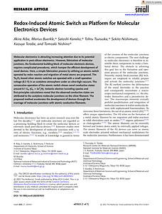 2025_Small21_e07653.pdf