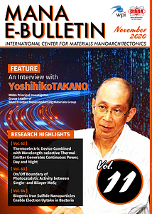 FEATURE_11_WPI-MANA.pdf