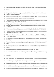 Electrokinetic Power Generation, Feb26.pdf