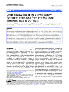 s41427-024-00544-w.pdf