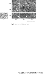 Fig.04.png