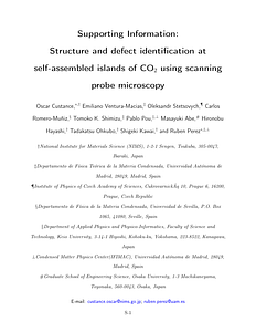 SI.pdf