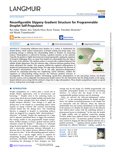 acs.langmuir.6c02822.pdf