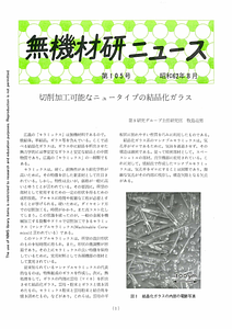NIRIMNews0105.pdf