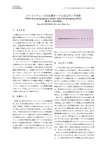 Todoroki14LSJ.pdf