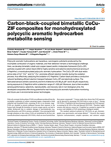 s43246-026-01150-9.pdf