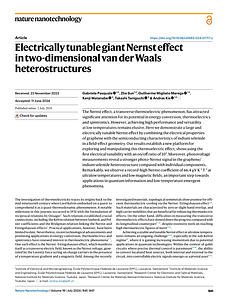 s41565-024-01717-y.pdf