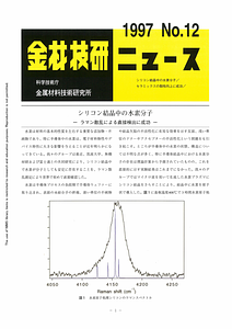 NRIMNews1997-12.pdf