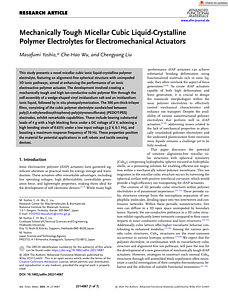 Adv Funct Materials - 2024 - Yoshio - Mechanically Tough Micellar Cubic Liquid‐Crystalline Polymer Electrolytes for.pdf