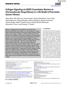 Small - 2025 - Ohira - Collagen Signaling via DDR1 Exacerbates Barriers to Macromolecular Drug Delivery in a 3D Model of.pdf
