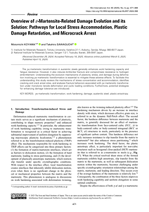 65_ISIJINT-2024-398.pdf