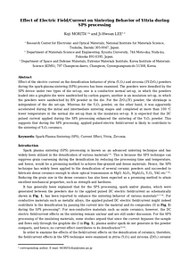 WORLD_PM2024_Manuscript_K.Morita_C000244.doc