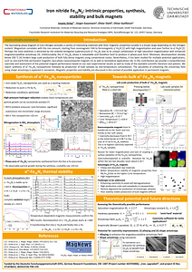 REPM2025_P2-69_Dirba.pdf