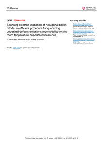 Bianco_2025_2D_Mater._12_025026.pdf