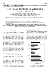 74_666.pdf