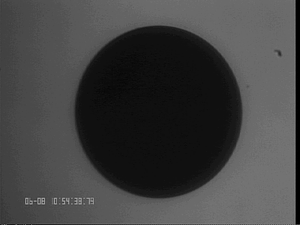0608CoSi2#100.png