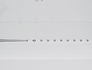 050003-.jpg